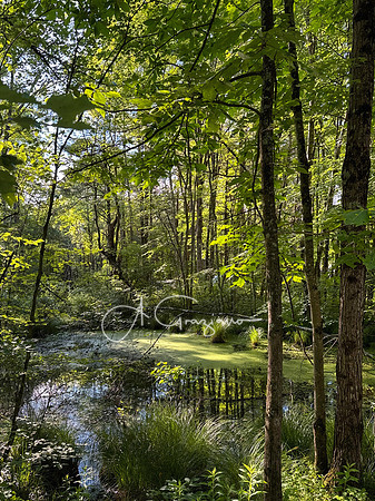 Getaway - Catskills East 2024