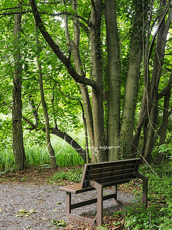 National Trail Day at Upland Farm 2025