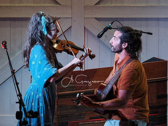 Adam Ezra Band - Foundation for Wildlife Sustainability