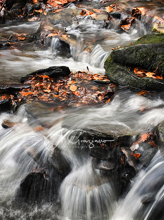 Catskills West