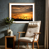 A. Graziano Photography