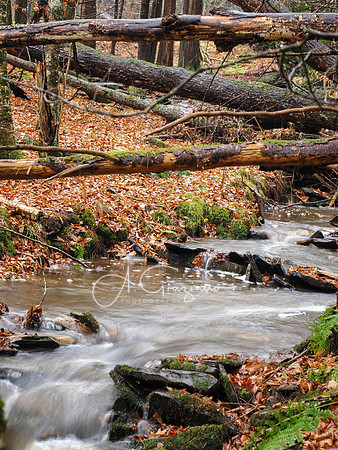 Catskills West