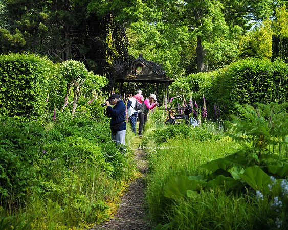 Landcraft Gardens Workshop 2022