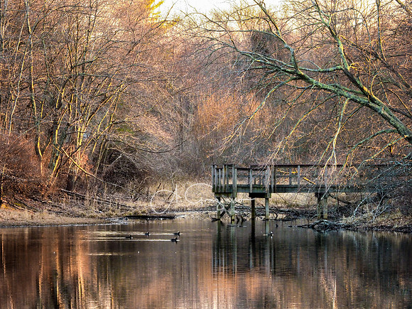 Ridge Conservation Area