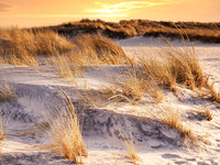 Otis Pike High Dune Wilderness - Smithpoint Beach