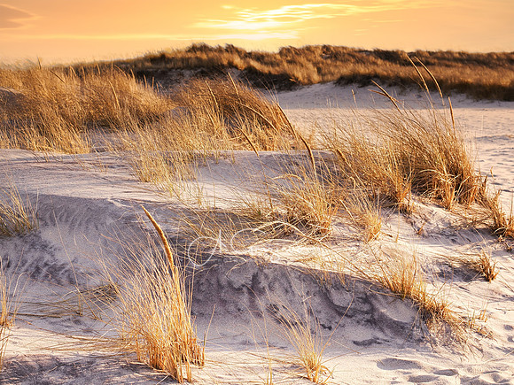 Otis Pike High Dune Wilderness - Smithpoint Beach