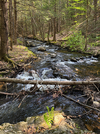 Postcard Cabins - Blake Brook