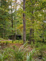 Postcard Cabins - Shenandoah