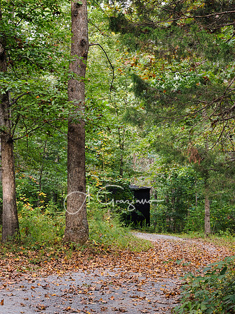 Postcard Cabins - Shenandoah