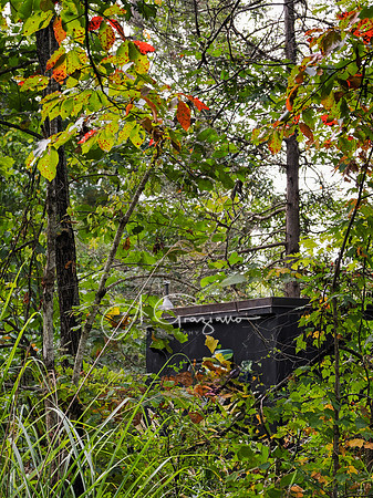 Postcard Cabins - Shenandoah