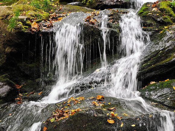 Shenandoah National Park - 2025