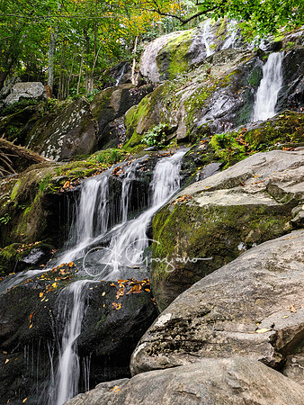 Shenandoah National Park - 2025