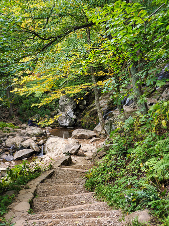 Shenandoah National Park - 2025