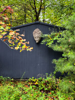 Postcard Cabins - Shenandoah