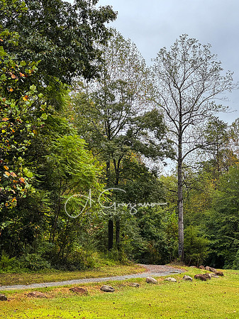 Postcard Cabins - Shenandoah