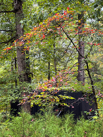Postcard Cabins - Shenandoah