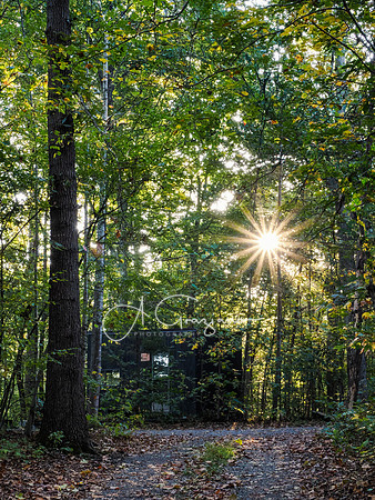 Postcard Cabins - Shenandoah