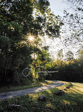Postcard Cabins - Shenandoah