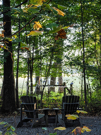 Postcard Cabins - Shenandoah