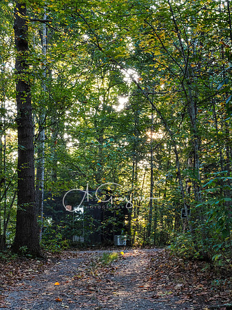 Postcard Cabins - Shenandoah