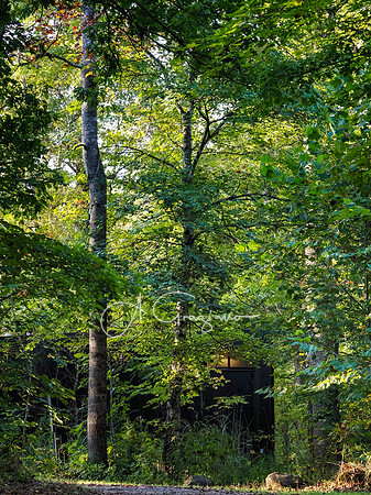 Postcard Cabins - Shenandoah