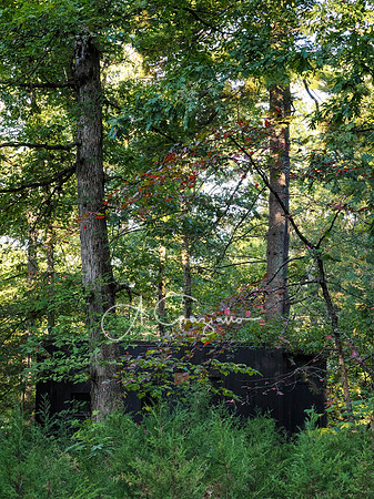 Postcard Cabins - Shenandoah