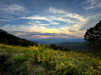 --IMG_8828-Edit