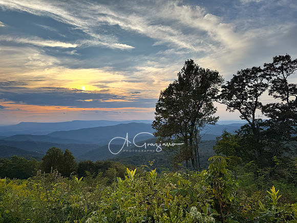 --IMG_8829-Edit