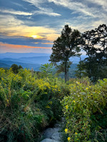 --IMG_8830-Edit