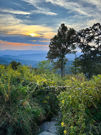 --IMG_8830-Edit