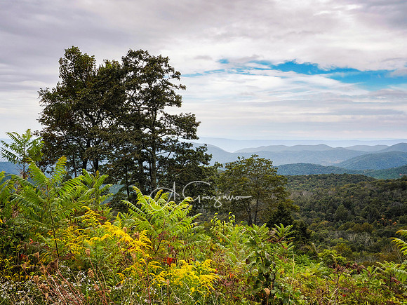 Shenandoah National Park - 2025