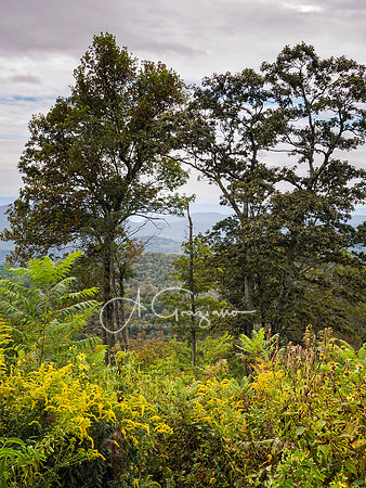 Shenandoah National Park - 2025