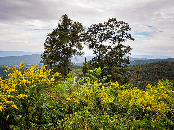 Shenandoah National Park - 2025