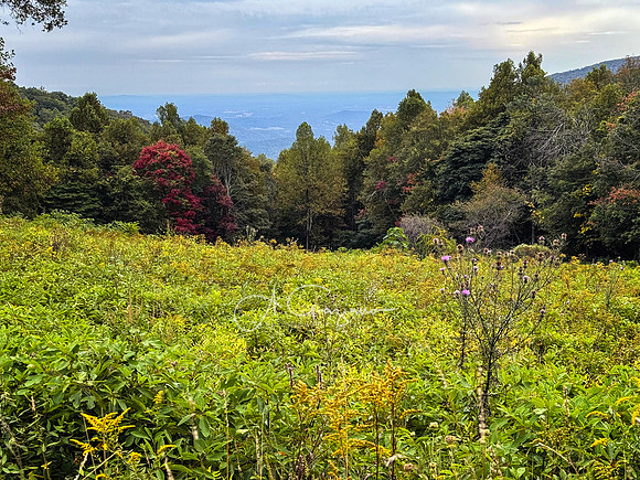 Shenandoah National Park - 2025