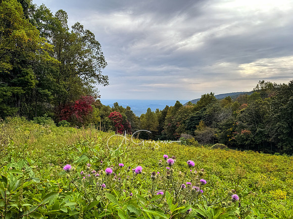 Shenandoah National Park - 2025