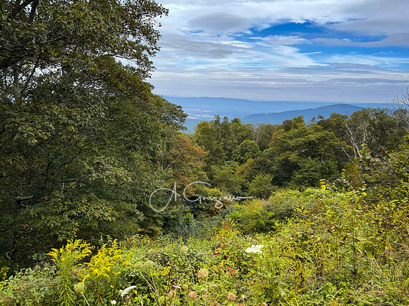 Shenandoah National Park - 2025