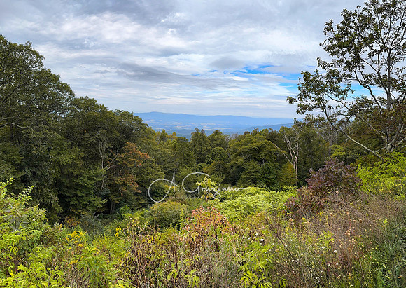 Shenandoah National Park - 2025
