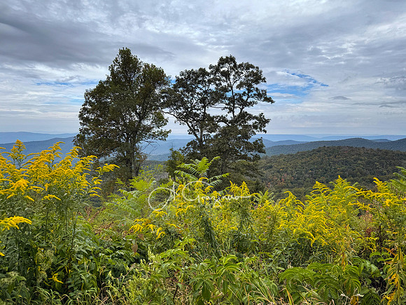 Shenandoah National Park - 2025