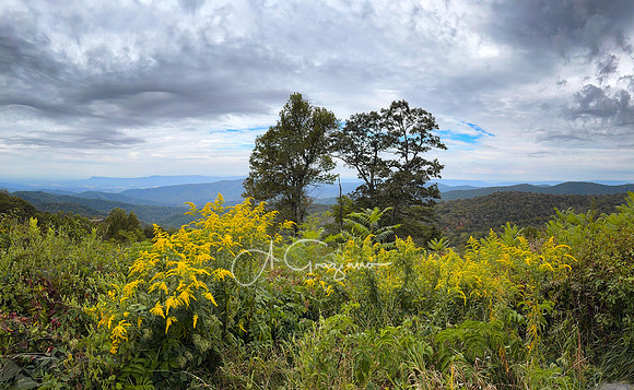 Shenandoah National Park - 2025