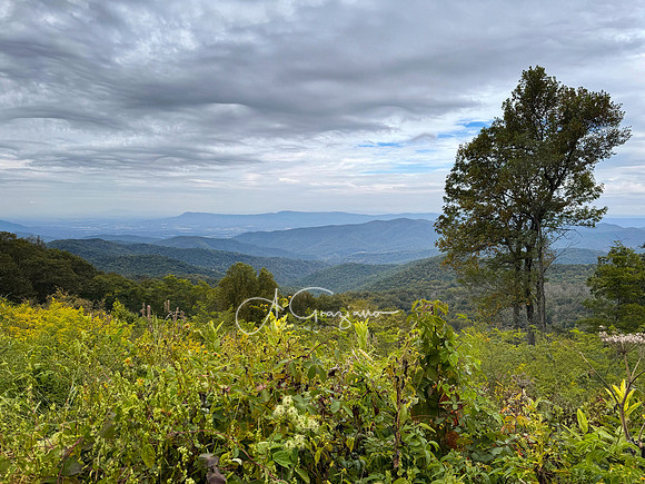 Shenandoah National Park - 2025