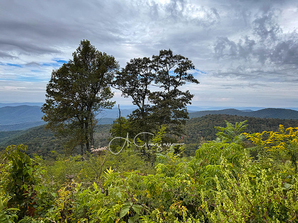 Shenandoah National Park - 2025