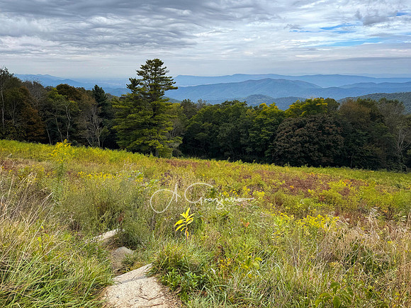 Shenandoah National Park - 2025