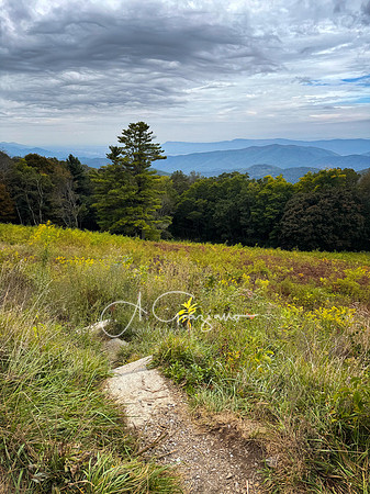 Shenandoah National Park - 2025