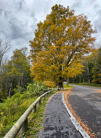 Shenandoah National Park - 2025