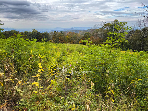 Shenandoah National Park - 2025