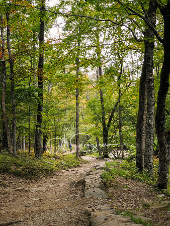 Shenandoah National Park - 2025