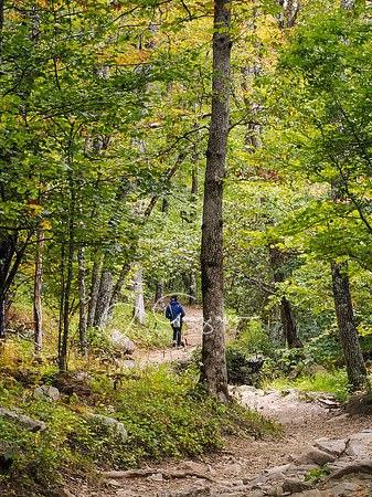 Shenandoah National Park - 2025