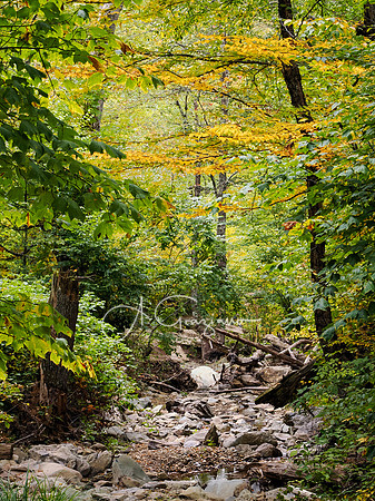 Shenandoah National Park - 2025