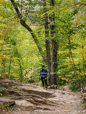 Shenandoah National Park - 2025