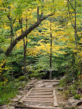 Shenandoah National Park - 2025